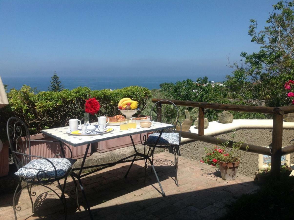 Forio di Ischia La Terrazzina Sul Tramonto Bed & Breakfast エクステリア 写真