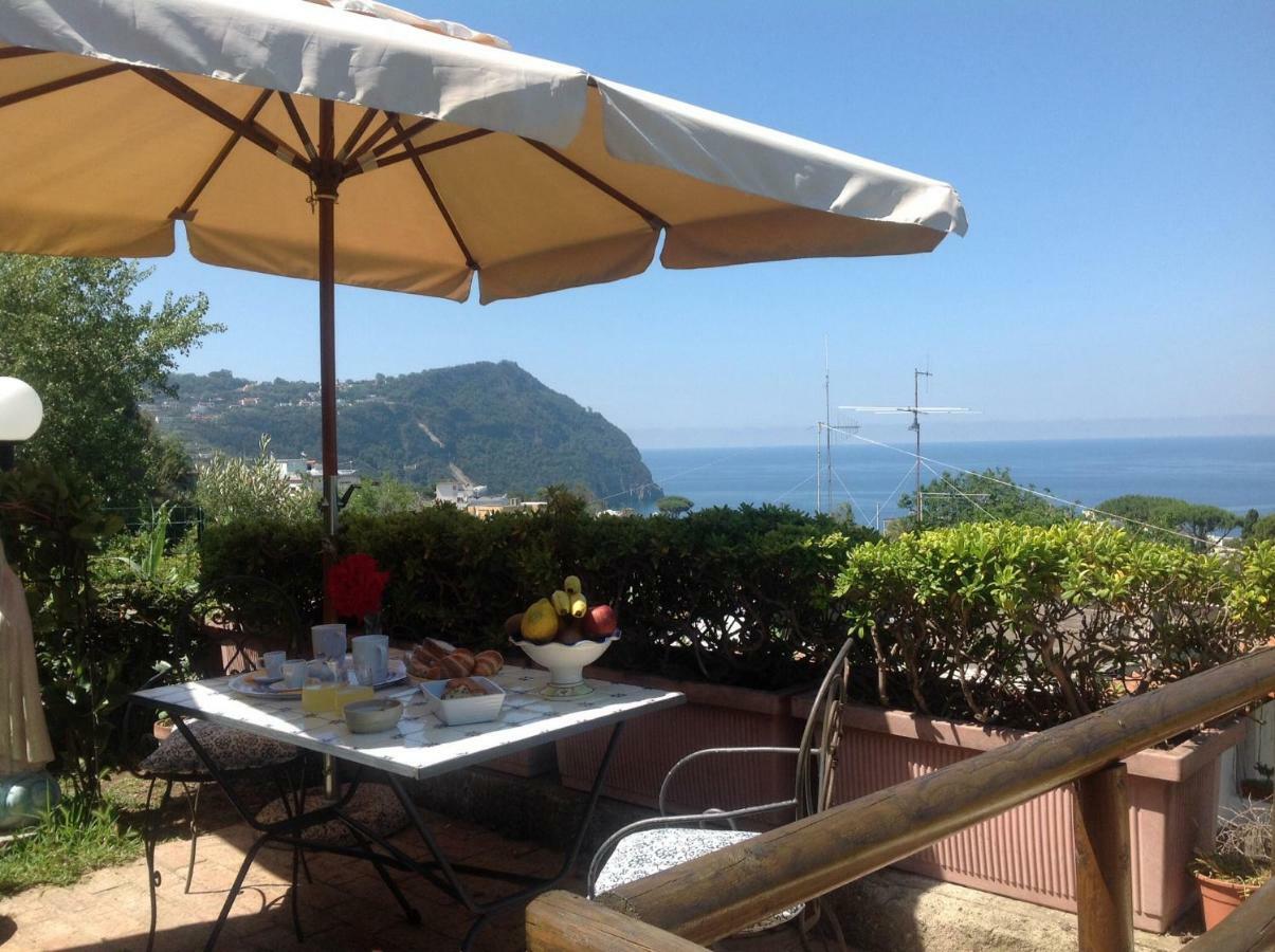 Forio di Ischia La Terrazzina Sul Tramonto Bed & Breakfast エクステリア 写真
